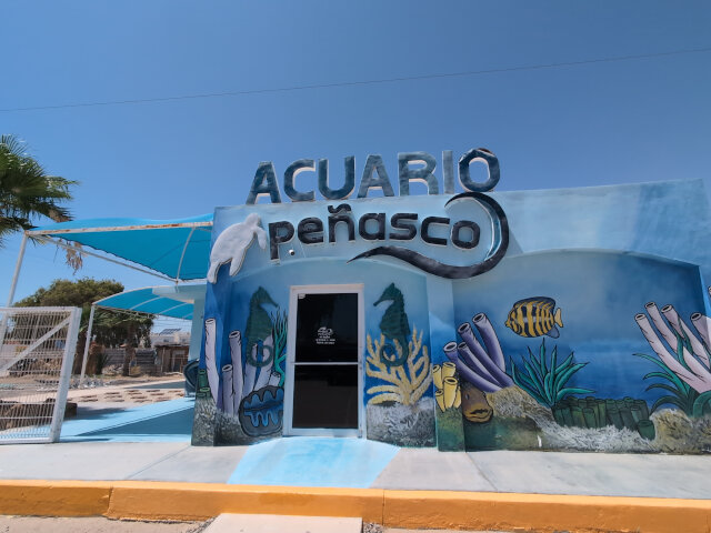 Aquarium facade.