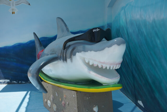 A shark with sunglasses.