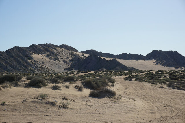 A sand dune.